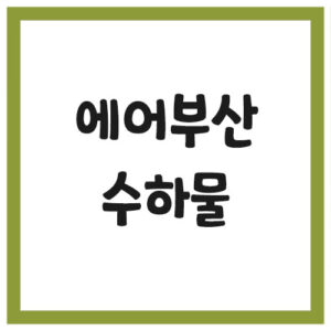 Read more about the article 에어부산 수하물 규정