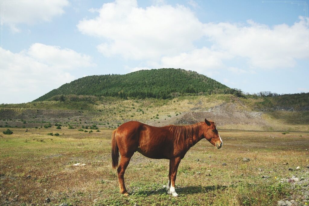 제주도 오름