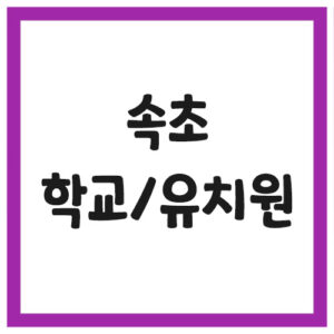 Read more about the article 속초시 유치원 및 초,중,고등학교 전화번호 보기