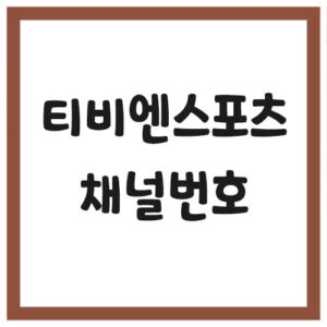 Read more about the article 티비엔스포츠 채널번호 안내